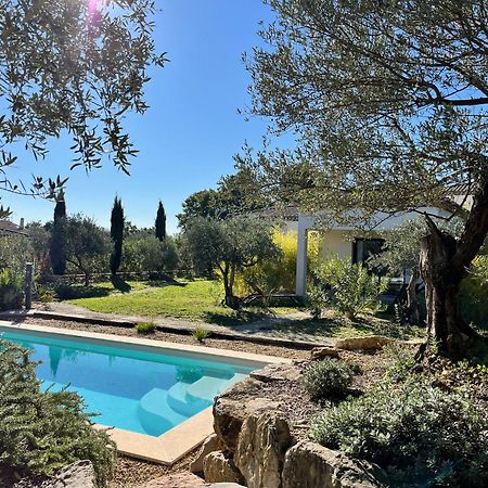 La Villa Aux Oliviers 弗莱约斯克 外观 照片
